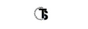 cropped tswrites favicon 4.png